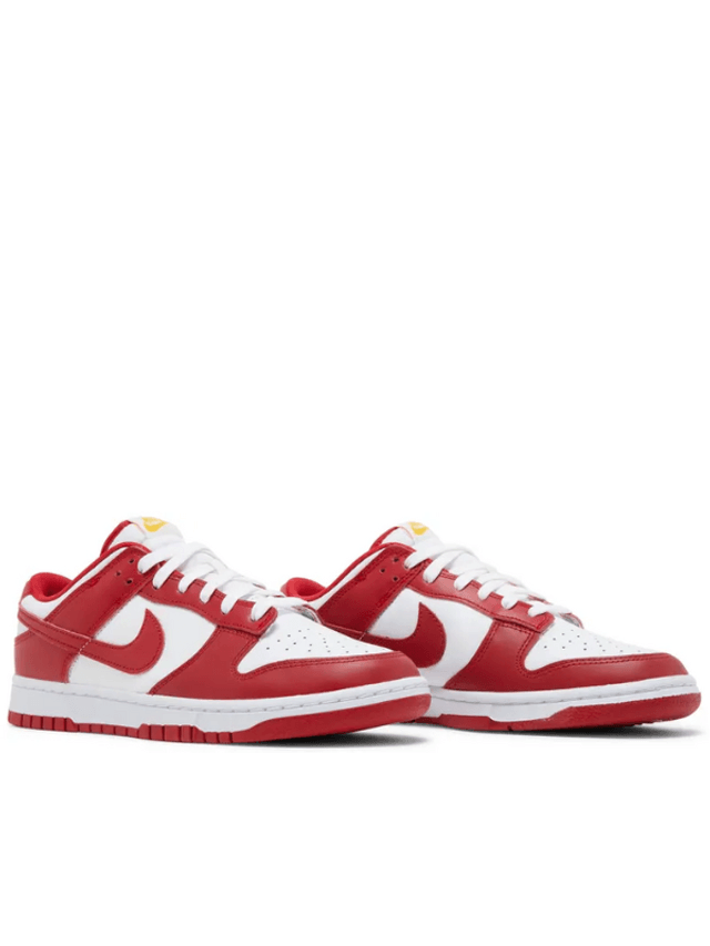 Nike Dunk Low USC (Taille 44)