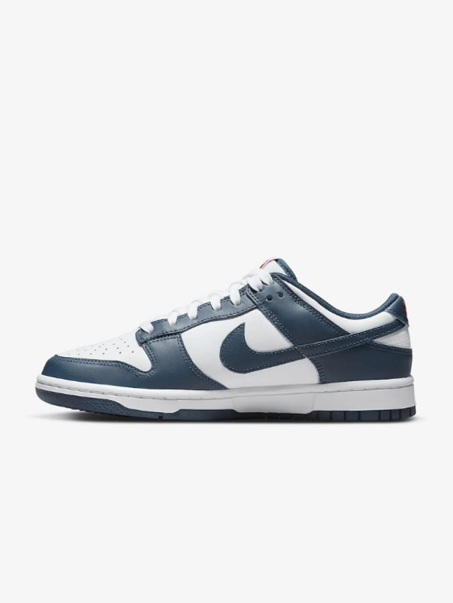 Nike Dunk Low Valerian Blue (Taille 46)