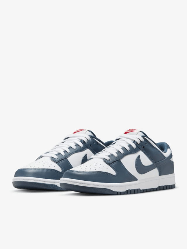 Nike Dunk Low Valerian Blue (Taille 46)
