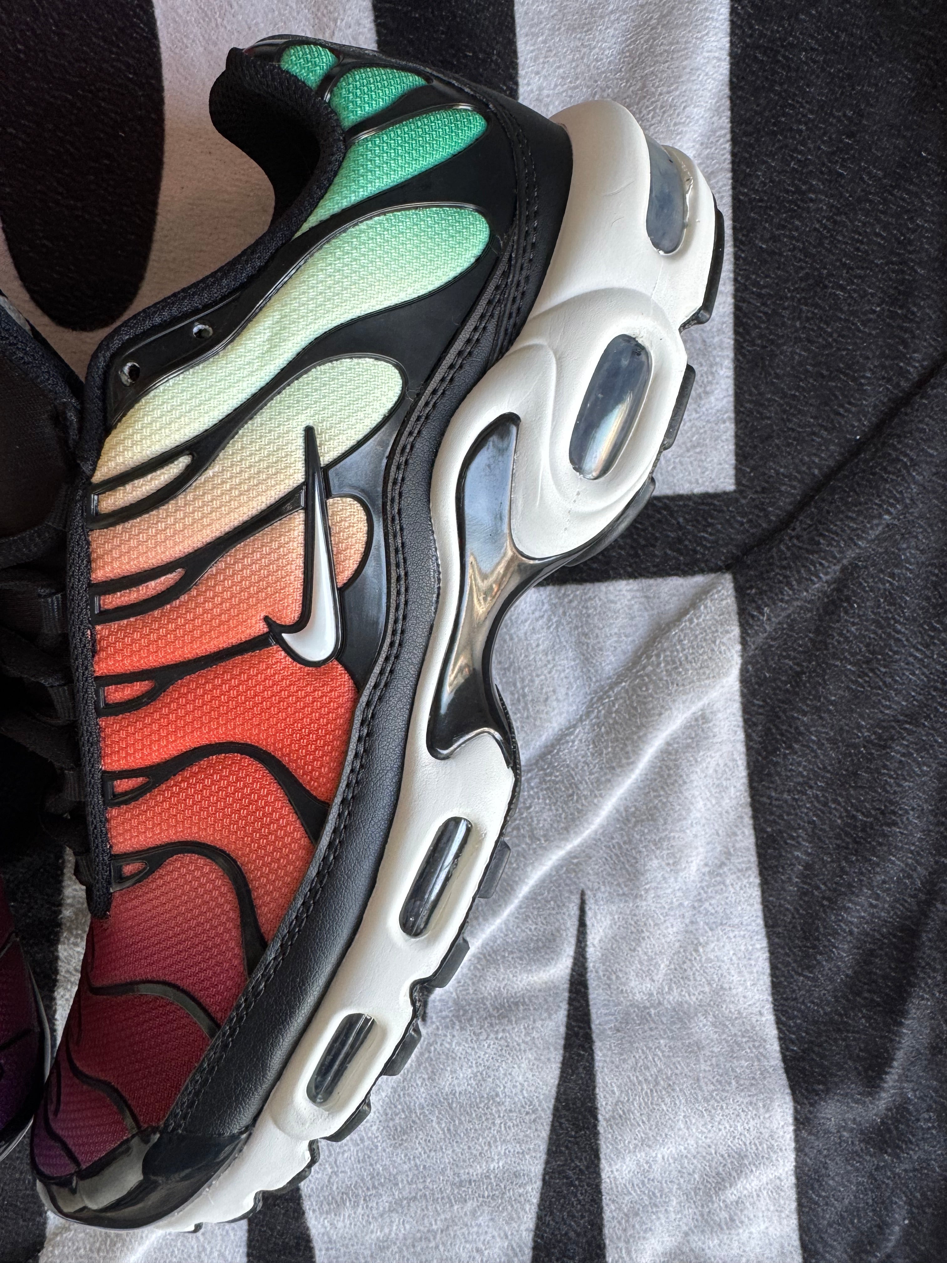 Nike Air Max Plus Rainbow (Taille 42)