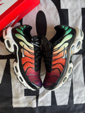 Nike Air Max Plus Rainbow (Taille 42)
