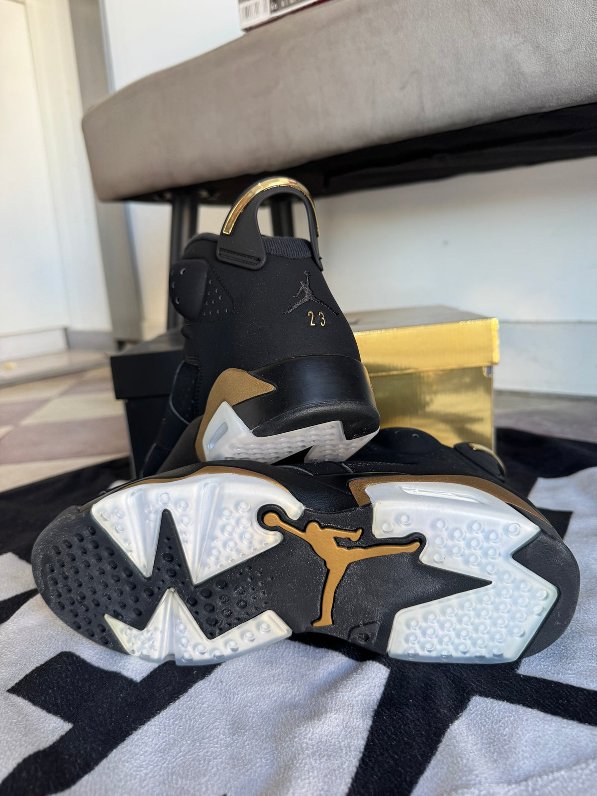 Jordan 6 DMP 2020 (Taille 42)