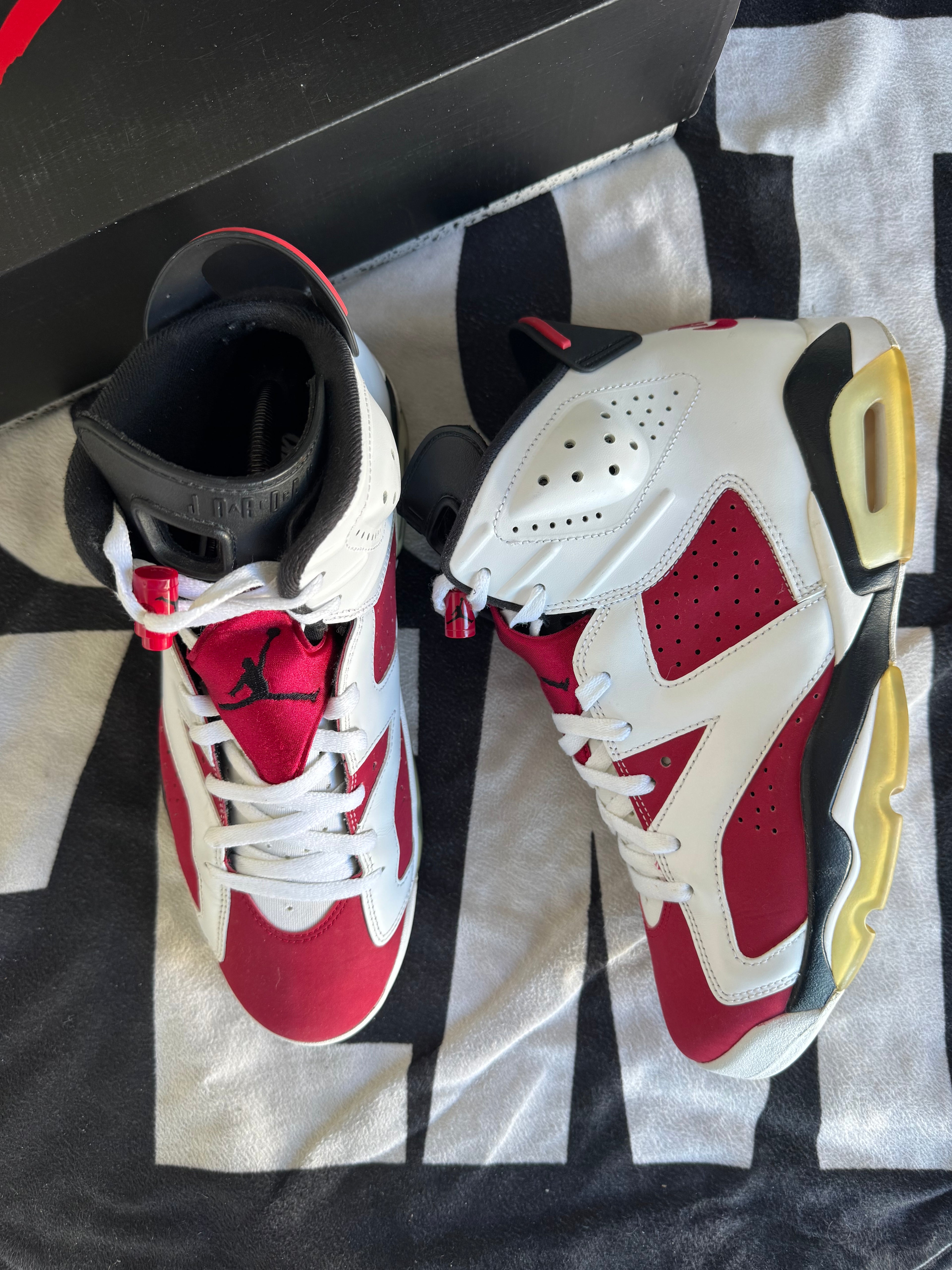Jordan 6 Carmine 2021 (Taille 45)