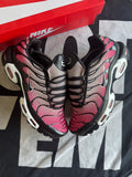 Nike Air Max Plus All Day (Taille 46)