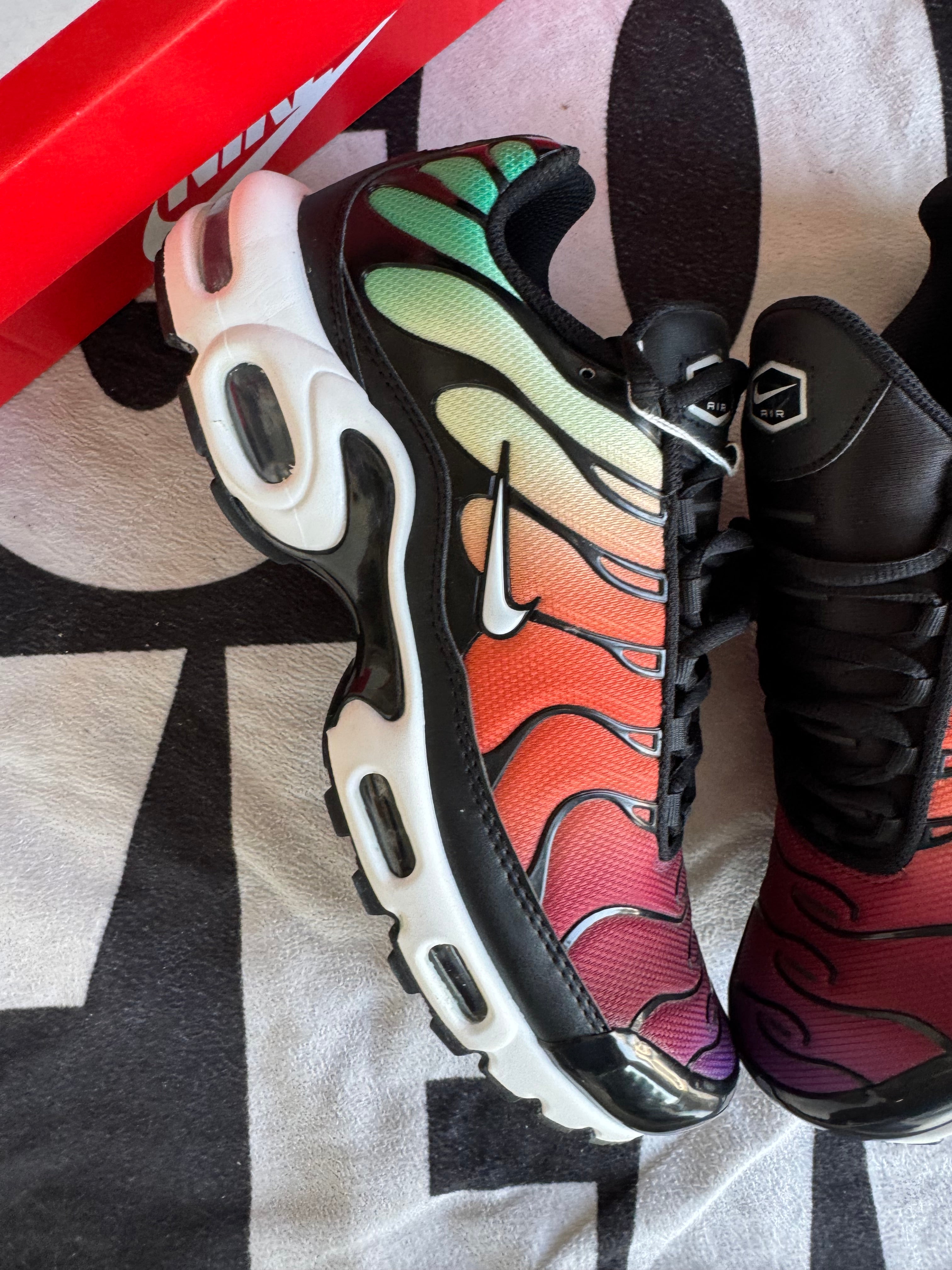 Nike Air Max Plus Rainbow (Taille 42)