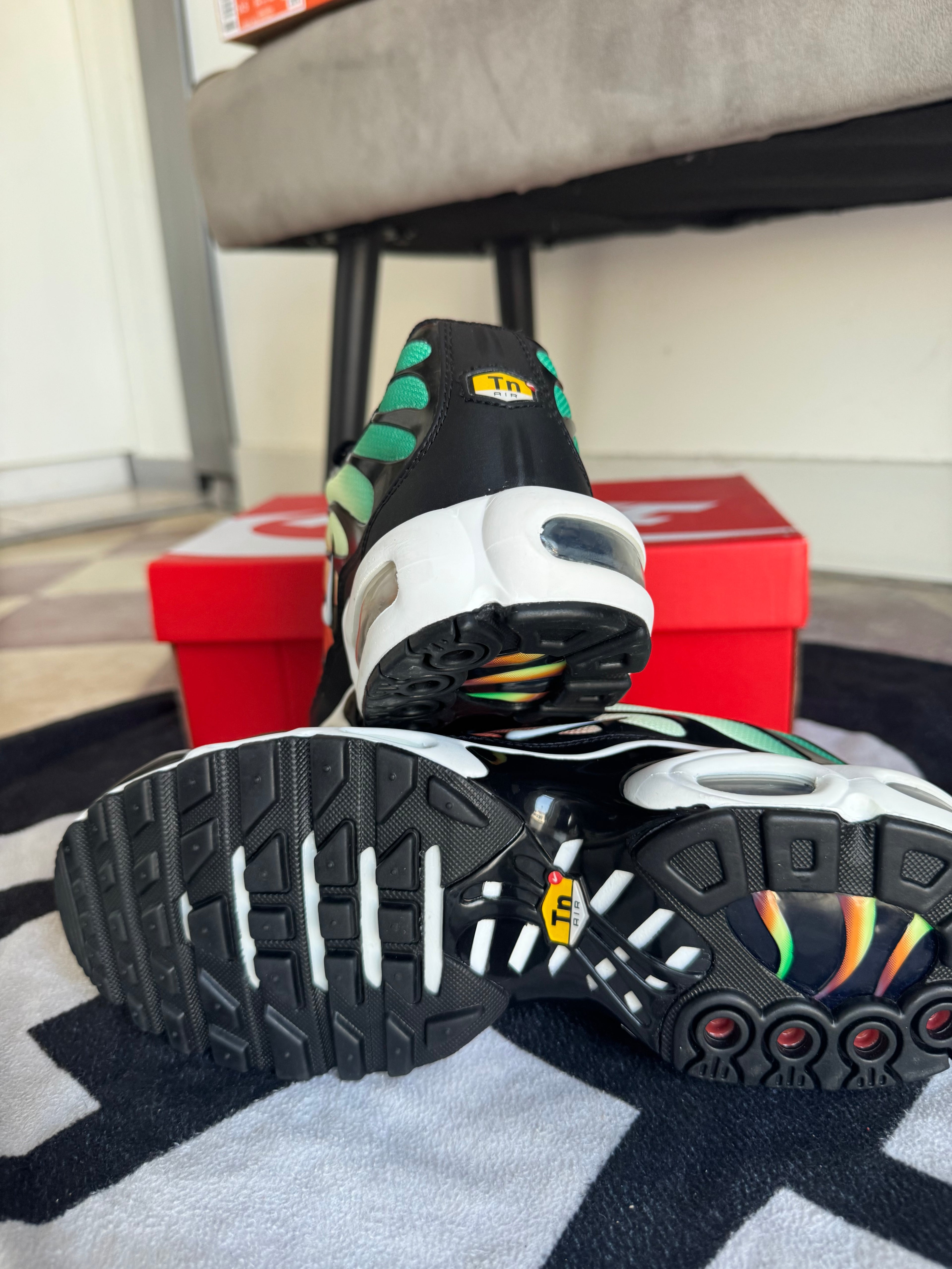 Nike Air Max Plus Rainbow (Taille 42)