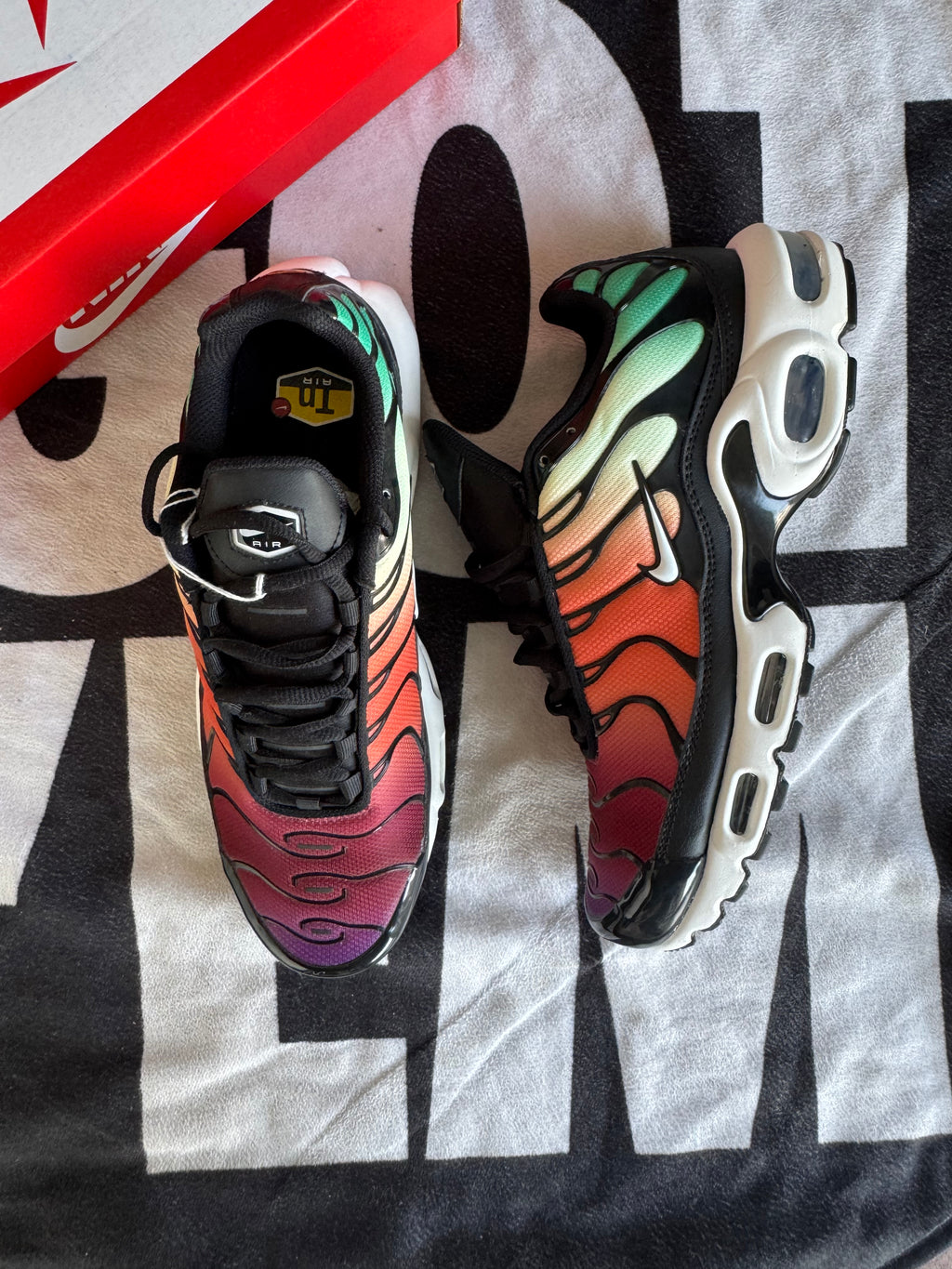 Nike Air Max Plus Rainbow (Taille 42)