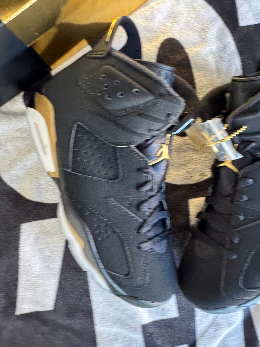 Jordan 6 DMP 2020 (Taille 42)