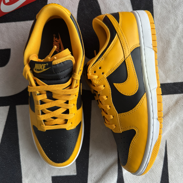 Nike Dunk Low Championship Goldenrod (Taille 43)